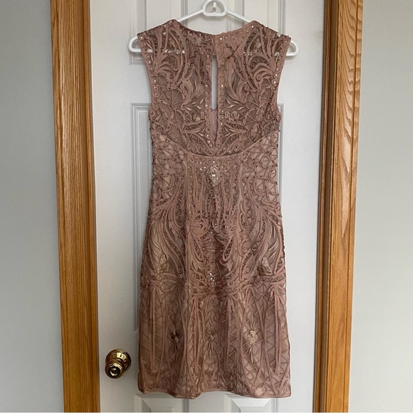 Sue Wong Nocturne Blush Pink Beaded Lace Dress Size 2 - Picture 7 of 12